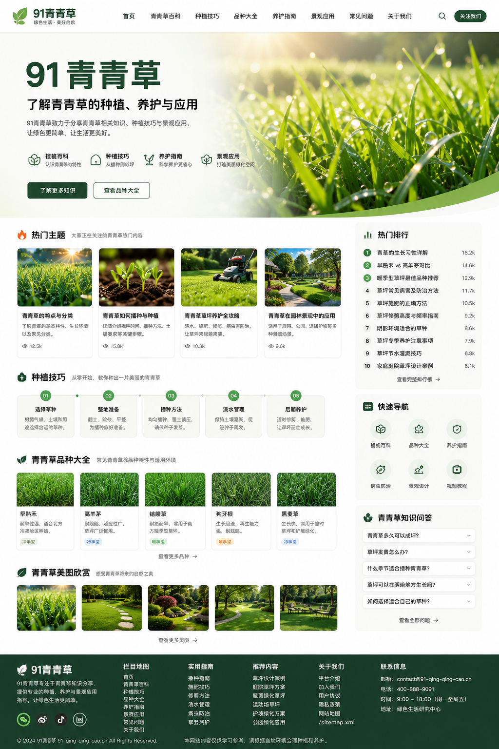 91青青草网站视觉展示