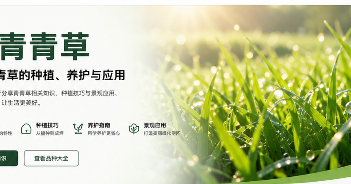91青青草青草百科与草坪养护专题
