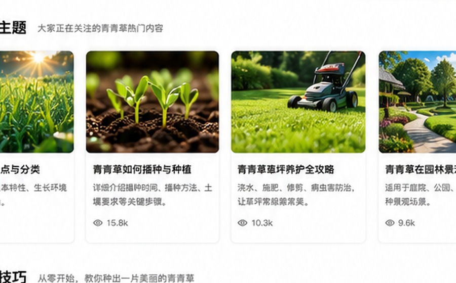 阳光下的健康青草