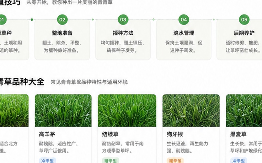91青青草种植与养护