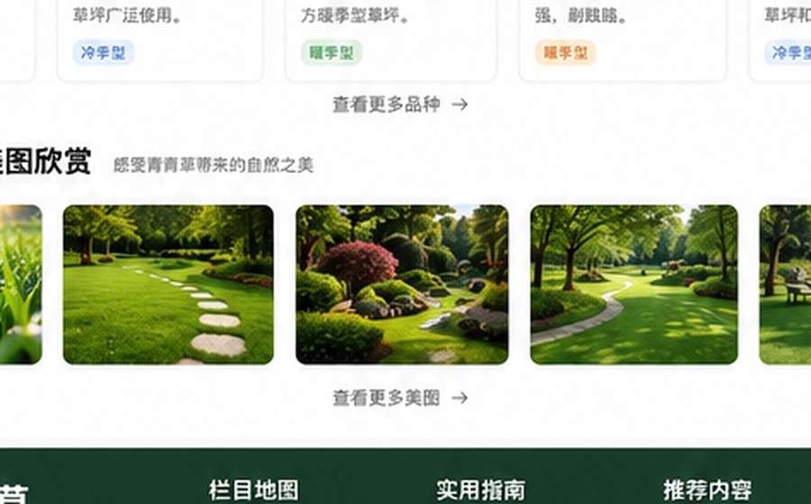91青青草常见青草品种